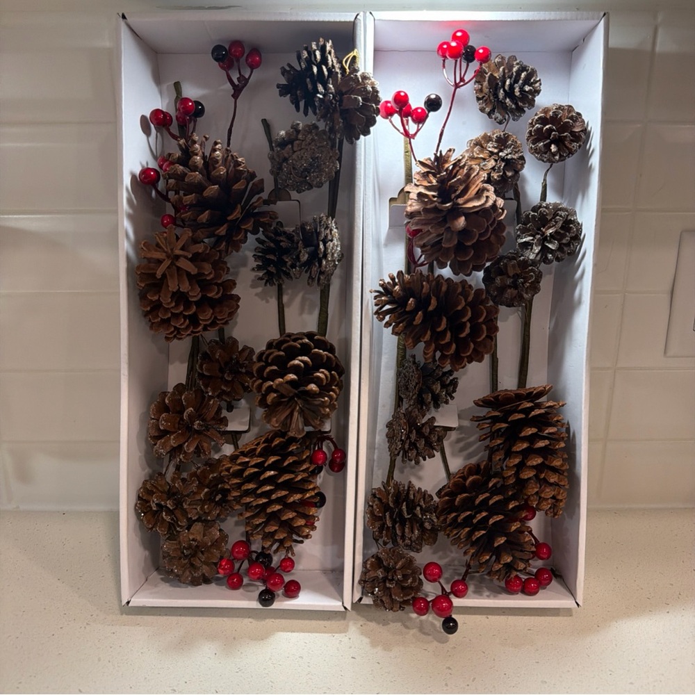 Wondershop Target 2 Sets Of Four Decorative Picks Pine Cones New